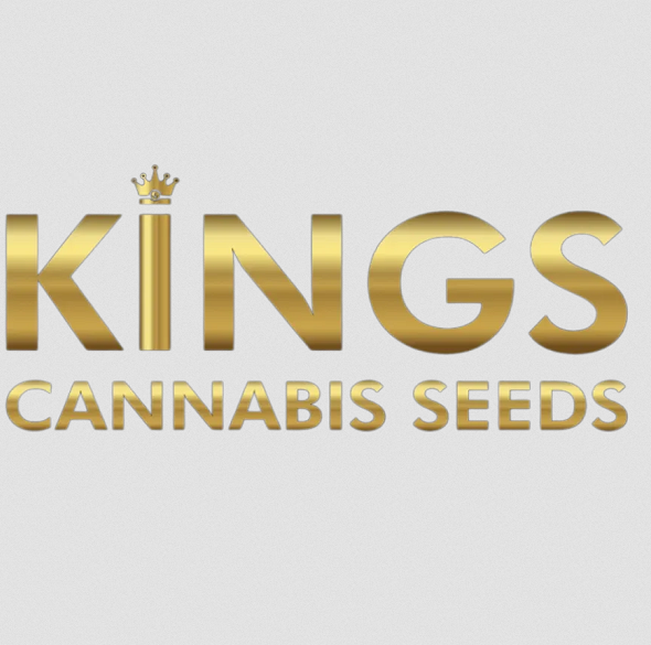 Kings Seedbank